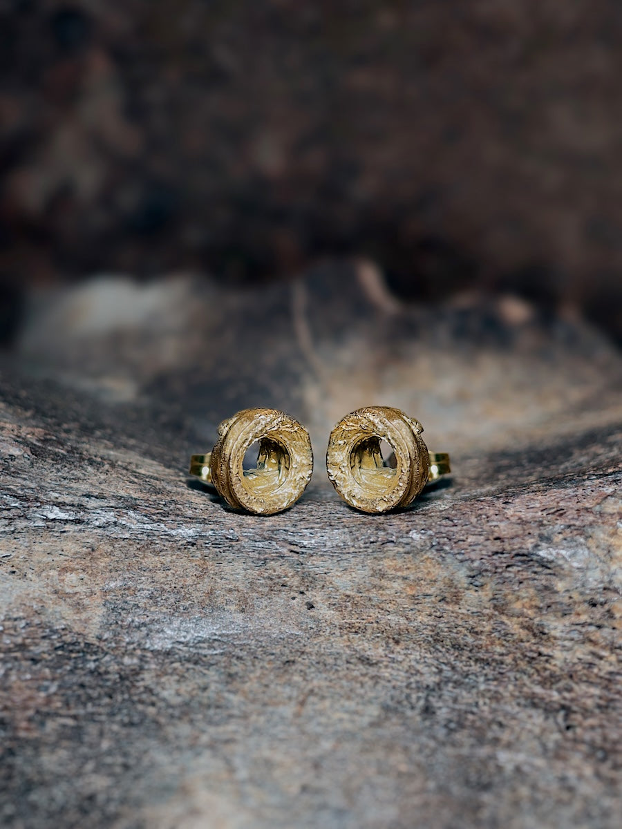 Spun Circle Thick Studs 14k Gold